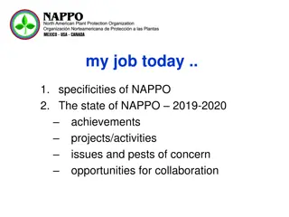 NAPPO: Enhancing Collaboration and Plant Health Protection