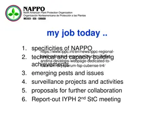 NAPPO: Achievements, Collaboration, and Surveillance Projects