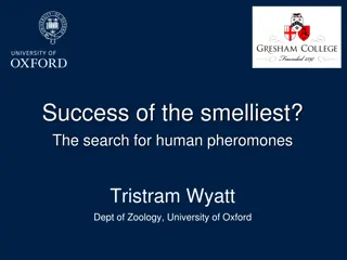 Unraveling the Mystery of Human Pheromones: A Scientific Journey