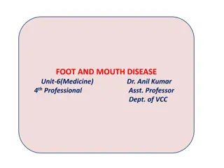 Foot and Mouth Disease in Animals: Causes, Symptoms, and Management