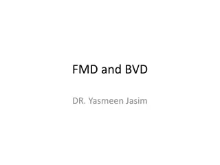 Foot-and-Mouth Disease (FMD) and Bovine Viral Diarrhea (BVD)