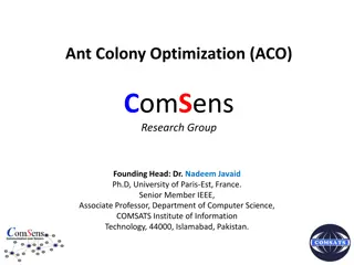 Ant Colony Optimization (ACO) in Research