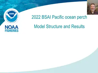 Overview of BSAI Pacific Ocean Perch Model Structure and Recent Developments