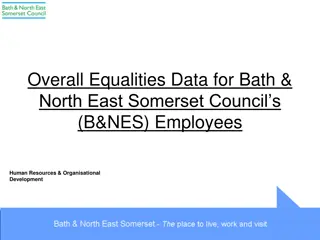 Analysis of Workforce Diversity at Bath & North East Somerset Council