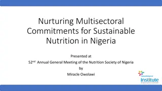 Sustainable Nutrition Multisectoral Commitments in Nigeria