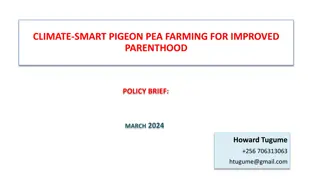 Enhancing Parenthood through Climate-Smart Pigeon Pea Farming