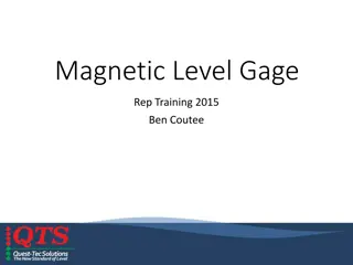 Comprehensive Overview of Magnetic Level Gage Solutions