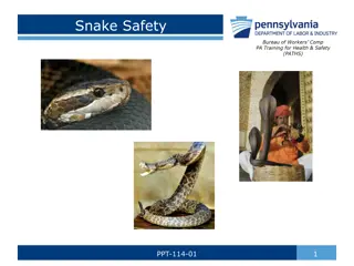 Snake Safety Awareness and Pennsylvania Snake Species Overview