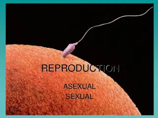 Reproductive Modes: Asexual vs. Sexual