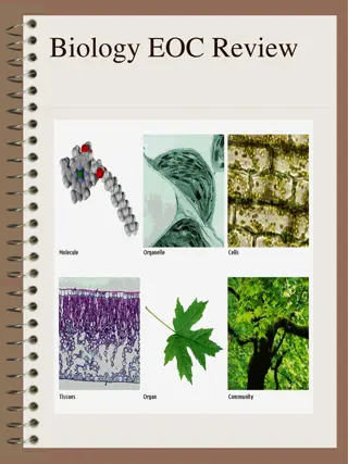 Key Concepts in Biology and Chemistry