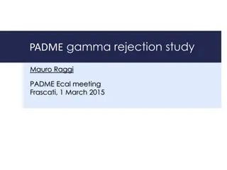 Insights from PADME ECal Meeting: Rejection Studies and BG Analysis