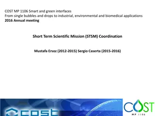 Overview of STSM Activities and Budget Allocation for COST MP 1106 Smart and Green Interfaces from 2012 to 2016