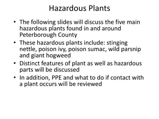 Hazardous Plants Identification and Safety Guide