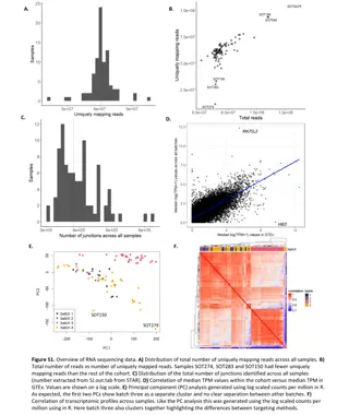 Overview of RNA Sequencing Data: Insights from Transcriptomic Profiling