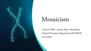 Understanding Mosaicism: Types, Causes, and Implications in Genetics