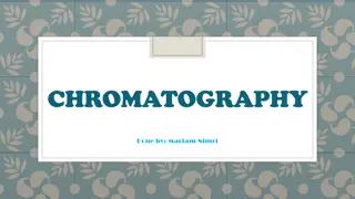 Chromatography: A Practical Experiment