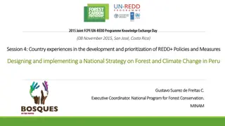 National Strategy on Forest and Climate Change in Peru: Design and Implementation