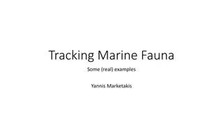 Tracking Marine Fauna: Examples from ProDelphinus Peru Leatherback Tracking Project