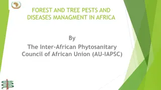 Forest and Tree Pests and Diseases Management in Africa