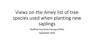 Evaluating Tree Species Diversity for Planting in Sheffield: A Review of Amey's List