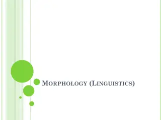 Morphology in Linguistics