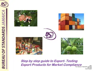 Comprehensive Export Testing and Market Compliance Guide by BSJ