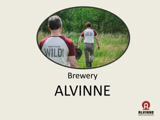 Discover Alvinne Brewery: World-Class Sour Beers from Belgium