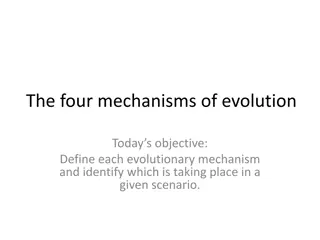 Evolutionary Mechanisms in Pepper Populations