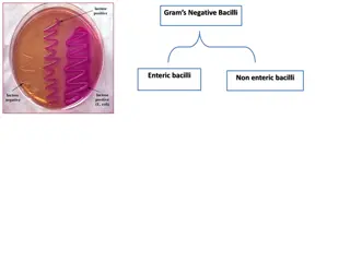 Overview of Gram-Negative Enteric Bacilli