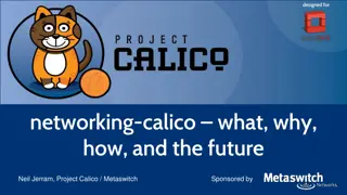 Understanding Project Calico: Networking Essentials and Future Trends