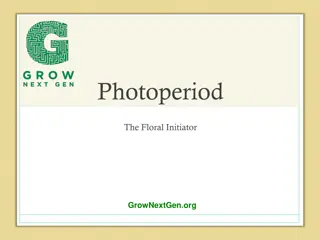 Understanding Photoperiodism in Plants