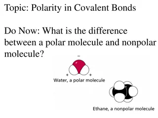 Polarity in Covalent Bonds