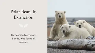 Saving the Polar Bears: A Call to Action