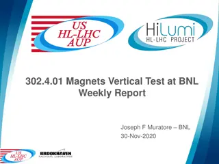 Weekly Report on Magnets Vertical Test at BNL - Nov 30, 2020