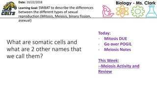 Biology Class Learning Goals and Activities with Ms. Clark