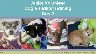 Junior Volunteer Dog Visitation Training at Humane Society of Huron Valley