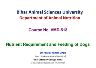 Nutrient Requirements and Feeding of Dogs - Key Insights