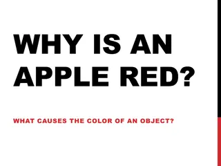 Science of Color Perception