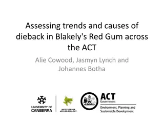 Assessment of Dieback Trends in Blakely's Red Gum Across ACT