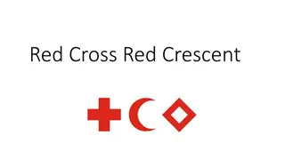 Exploring the Red Cross & Red Crescent Movement