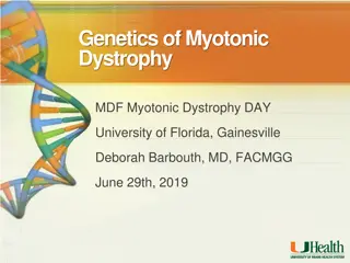 Myotonic Dystrophy: Genetics & Inheritance Insights