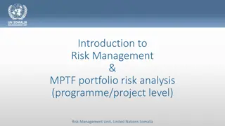 Risk Management & MPTF Portfolio Analysis at Programme Level for UN Somalia