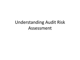 Audit Risk Assessment Process