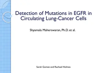 Detection of Mutations in EGFR in Circulating Lung Cancer Cells: Study on SARMS Assay and CTC-Chip