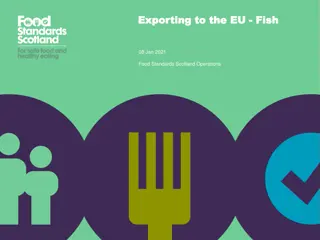 Exporting to the EU: Fish Certification Requirements and Export Process