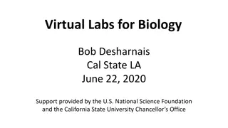 Virtual Labs for Biology: Advantages, Disadvantages, and Case Study Insights