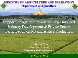 Challenges and Opportunities in Myanmar Rice Production Industry