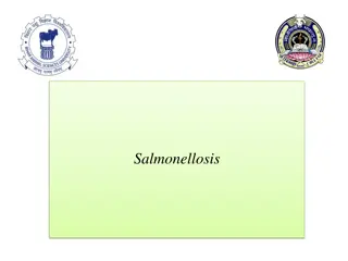 Salmonellosis: Understanding the Disease and Its Implications