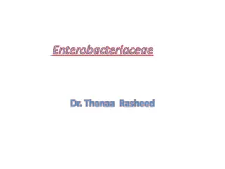 Overview of Enterobacteriaceae Family and Their Antigenic Structure