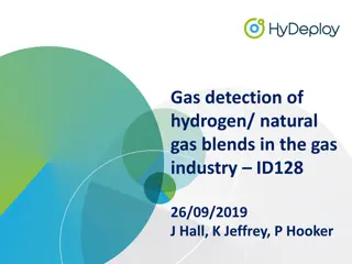 Gas Detection of Hydrogen/Natural Gas Blends in the Gas Industry